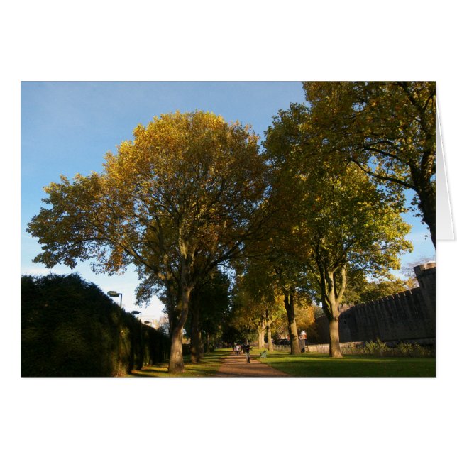 Autumn Landscape, Bute Park, Cardiff (Voorkant Horizontaal)
