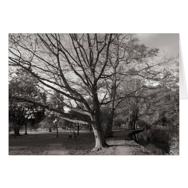 Autumn Landscape, Bute Park, Cardiff (Voorkant Horizontaal)
