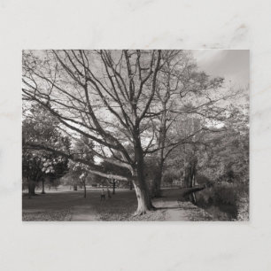 Autumn Landscape Bute Park Cardiff Briefkaart