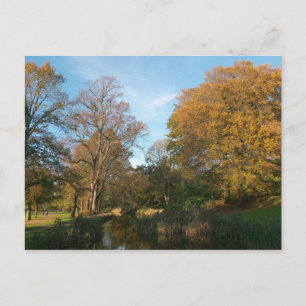 Autumn Landscape Bute Park Cardiff Briefkaart
