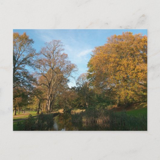 Autumn Landscape Bute Park Cardiff Briefkaart (Voorkant)