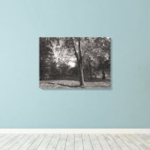 Autumn Landscape, Bute Park, Cardiff Canvas Afdruk (Insitu (Houten vloer))
