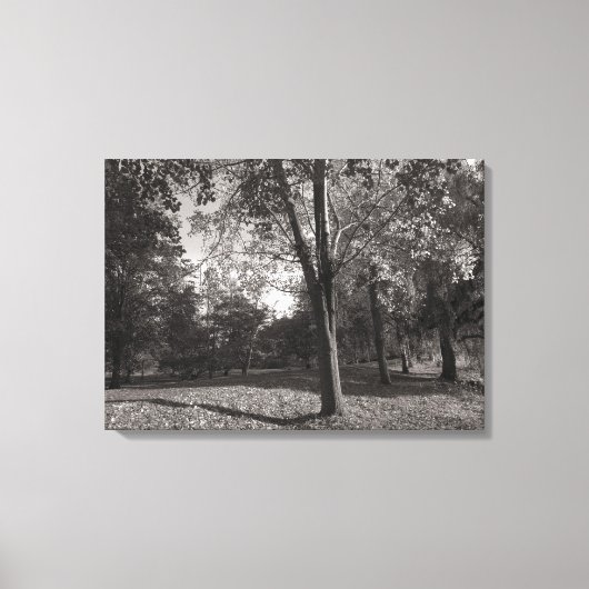 Autumn Landscape, Bute Park, Cardiff Canvas Afdruk (Voorkant)
