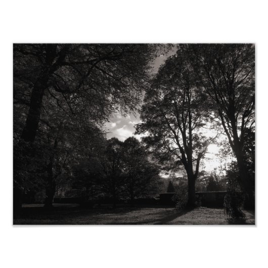Autumn Landscape Bute Park Cardiff Foto Afdruk (Voorkant)