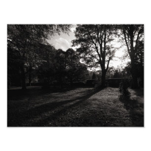 Autumn Landscape Bute Park Cardiff Foto Afdruk