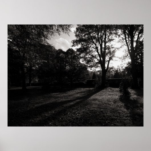 Autumn Landscape Bute Park Cardiff Poster (Voorkant)