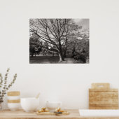 Autumn Landscape Bute Park Cardiff Poster (Keuken)