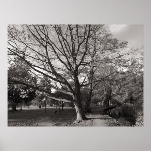 Autumn Landscape Bute Park Cardiff Poster (Voorkant)