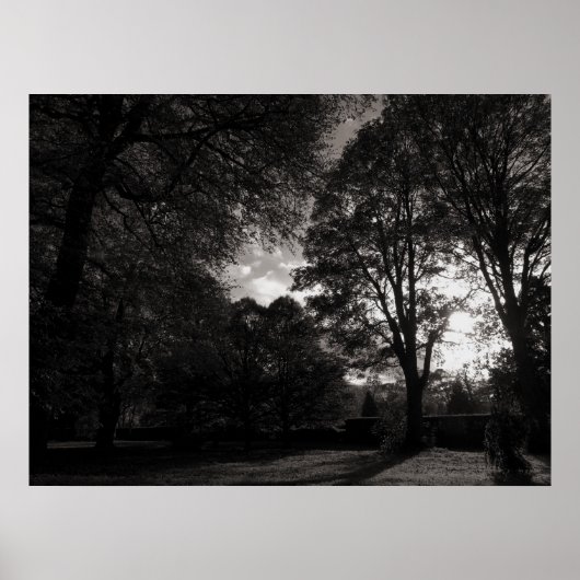 Autumn Landscape Bute Park Cardiff Poster (Voorkant)
