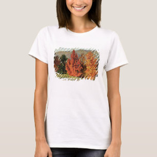 Autumn Landscape, c.1903 (olie op canvas) T-shirt