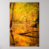 Autumn Landscape Forest Photo Natuur Wall Poster (Voorkant)