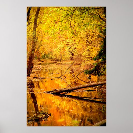 Autumn Landscape Forest Photo Natuur Wall Poster (Voorkant)