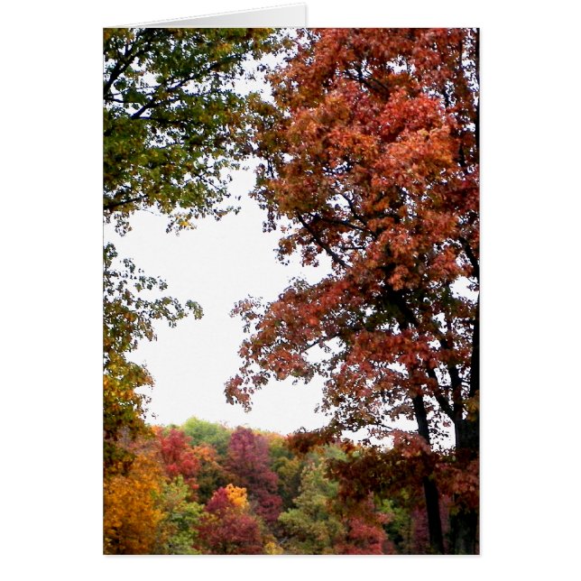 Autumn Landscape Foto (Voorkant)