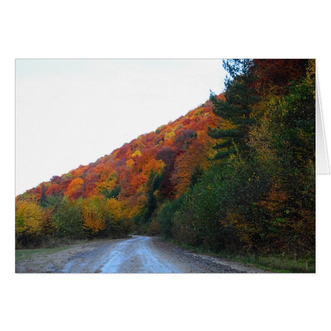 Autumn landschap (Voorkant Horizontaal)