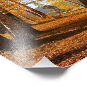 Autumn Landschap Foto Afdruk (Hoek)