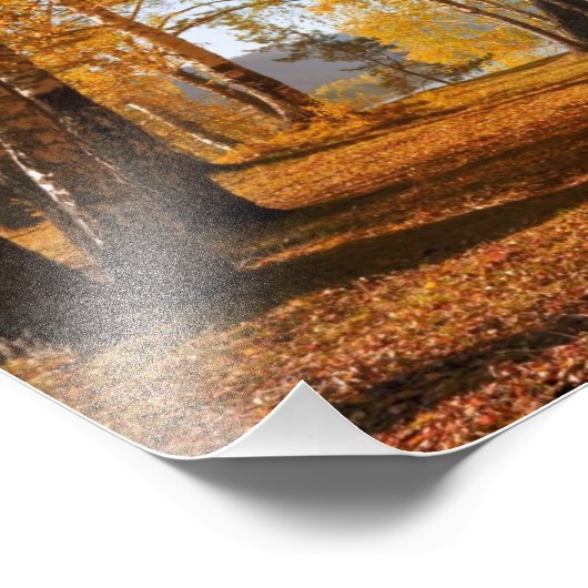 Autumn Landschap Foto Afdruk (Hoek)