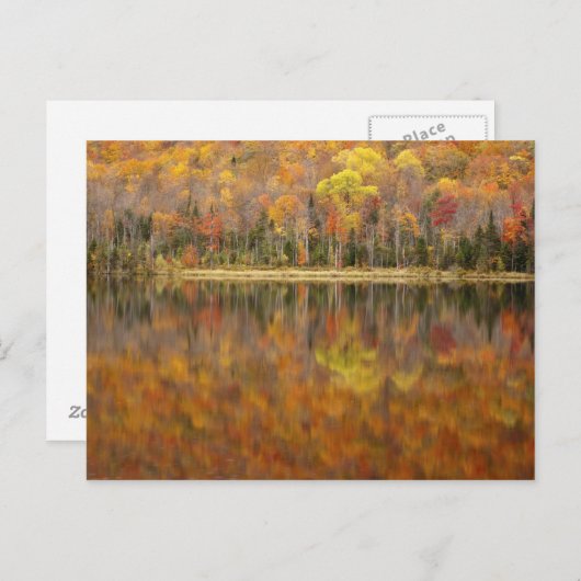 Autumn landschap met meer, Vermont, Verenigde Stat Briefkaart (Voorkant / Achterkant)