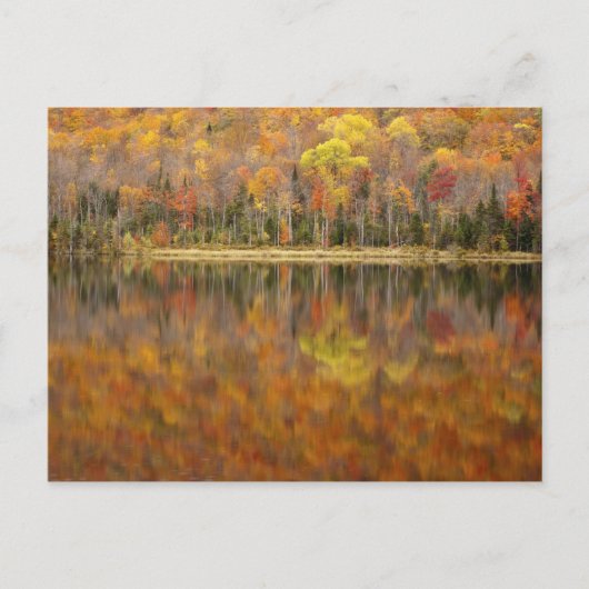 Autumn landschap met meer, Vermont, Verenigde Stat Briefkaart (Voorkant)
