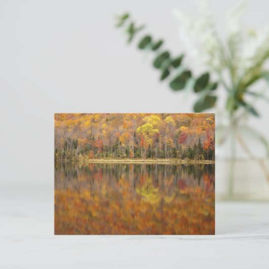 Autumn landschap met meer, Vermont, Verenigde Stat Briefkaart (Staand voorkant)