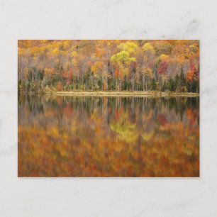 Autumn landschap met meer, Vermont, Verenigde Stat Briefkaart