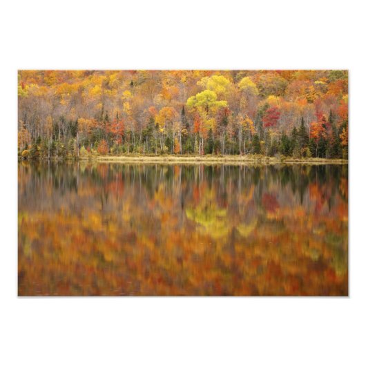 Autumn landschap met meer, Vermont, Verenigde Stat Foto Afdruk (Voorkant)