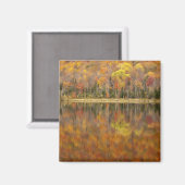 Autumn landschap met meer, Vermont, Verenigde Stat Magneet (Voorkant / Achterkant)