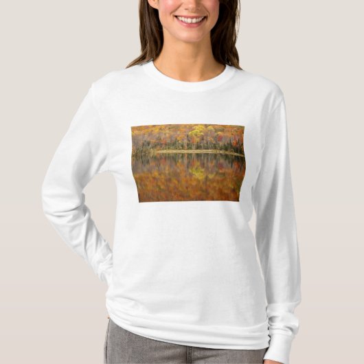 Autumn landschap met meer, Vermont, Verenigde Stat T-shirt (Voorkant)