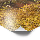 Autumn landschap met meer, Vermont, VS 2 Foto Afdruk (Hoek)