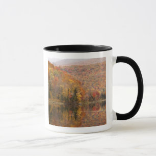 Autumn landschap met meer, Vermont, VS 2 Mok