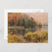 Autumn landschap met meer, Vermont, VS 3 Briefkaart (Voorkant / Achterkant)