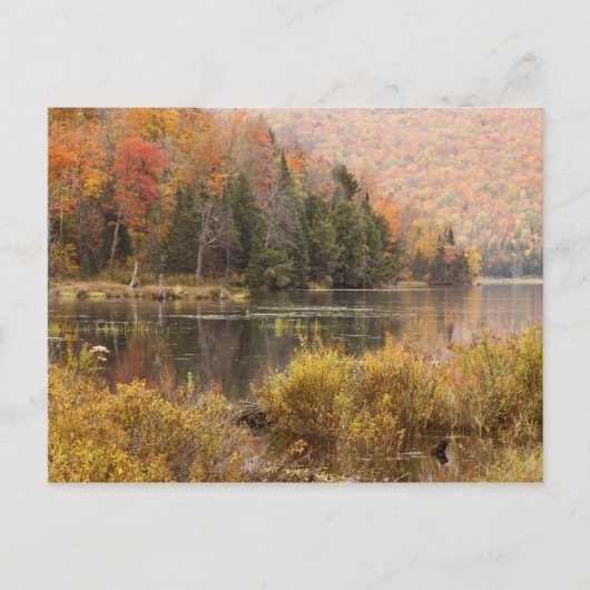 Autumn landschap met meer, Vermont, VS 3 Briefkaart (Voorkant)