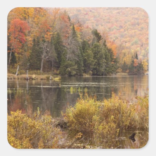 Autumn landschap met meer, Vermont, VS 3 Vierkante Sticker (Voorkant)