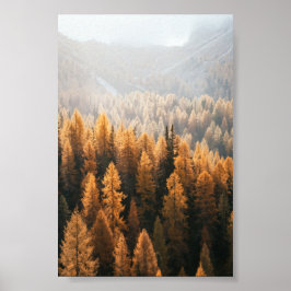 Autumn Landschap Poster