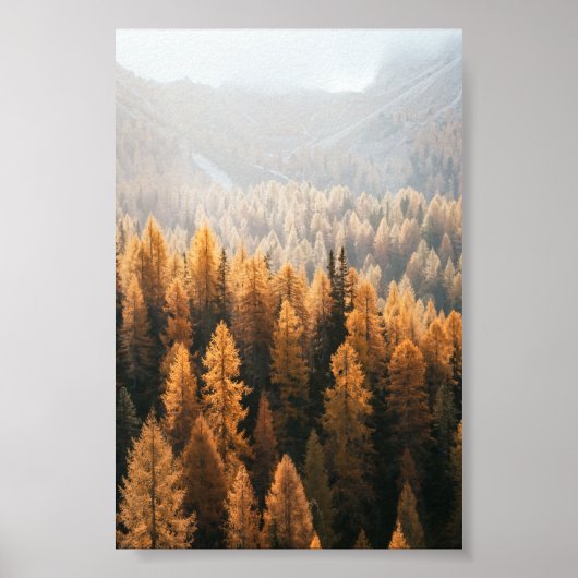 Autumn Landschap Poster (Voorkant)
