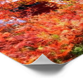 Autumn Landschap Poster (Hoek)