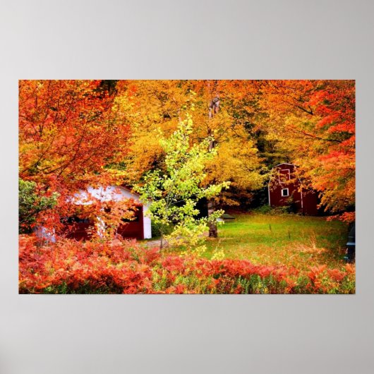 Autumn Landschap Poster (Voorkant)