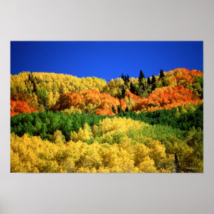 Autumn Landschap Poster