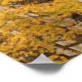 Autumn landschap, Vermont, Verenigde Staten Poster (Hoek)