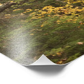 Autumn landschap, Vermont, VS 2 Foto Afdruk (Hoek)