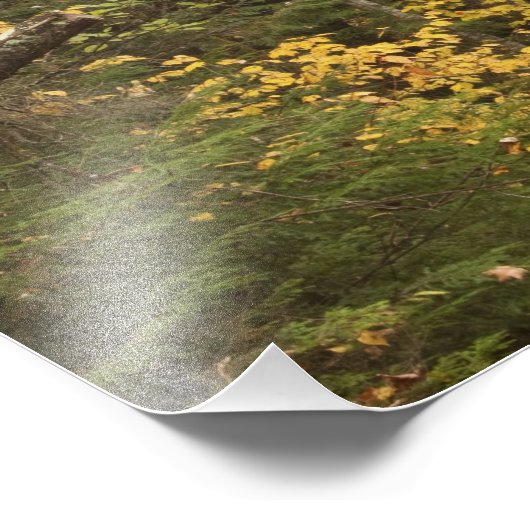 Autumn landschap, Vermont, VS 2 Foto Afdruk (Hoek)