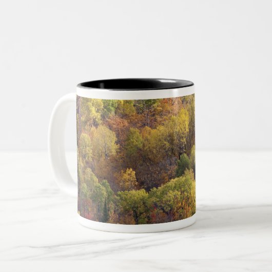 Autumn landschap, Vermont, VS 2 Tweekleurige Koffiemok (Voorkant links)