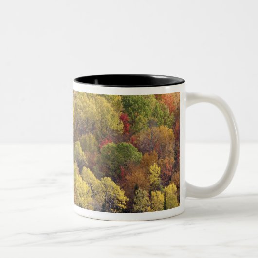 Autumn landschap, Vermont, VS 2 Tweekleurige Koffiemok (Rechts)