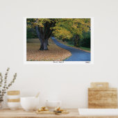 Autumn Lane Poster (Keuken)