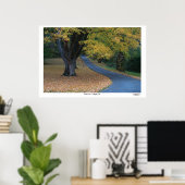 Autumn Lane Poster (Thuiskantoor)