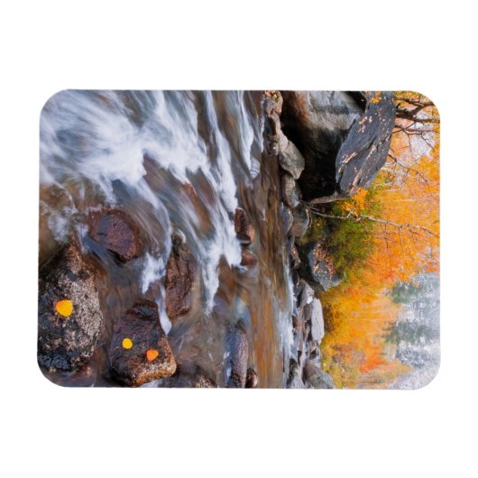 Autumn langs bisschop Creek, CA Magneet (Horizontaal)