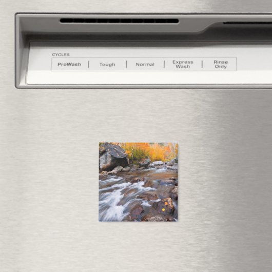 Autumn langs bisschop Creek, CA Magneet (Insitu (Vaatwasser))