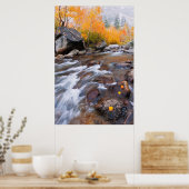 Autumn langs bisschop Creek, CA Poster (Keuken)