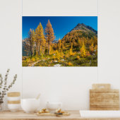 Autumn Larches bij Easy Pass Poster (Keuken)