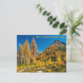 Autumn Larches bij Easy Pass Washington Briefkaart (Staand voorkant)