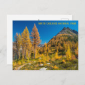 Autumn Larches bij Easy Pass Washington Briefkaart (Voorkant / Achterkant)